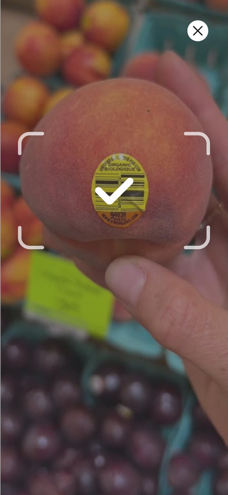 Healthy Benefits+ The easiest way to spend your benefit dollars